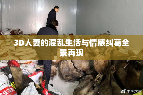 3D人妻的混乱生活与情感纠葛全景再现
