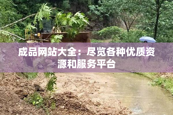 成品网站大全：尽览各种优质资源和服务平台