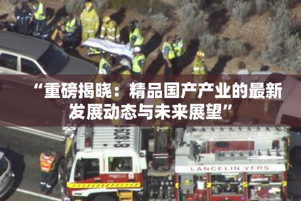 “重磅揭晓：精品国产产业的最新发展动态与未来展望”