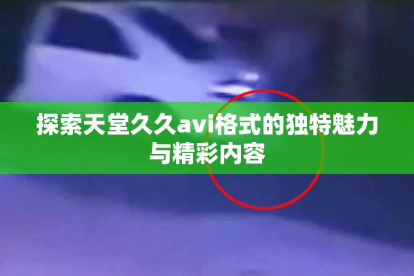 探索天堂久久avi格式的独特魅力与精彩内容