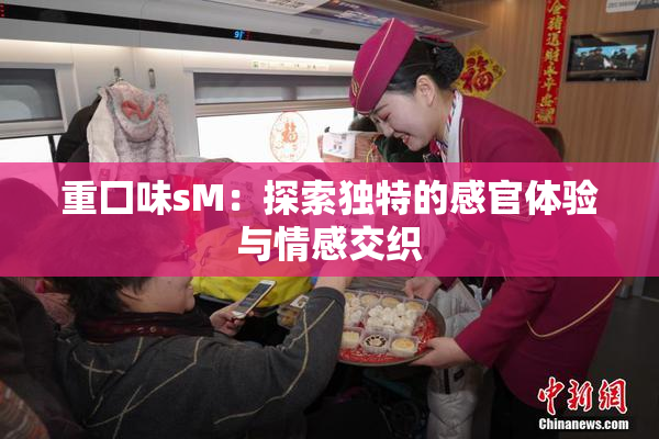 重囗味sM：探索独特的感官体验与情感交织