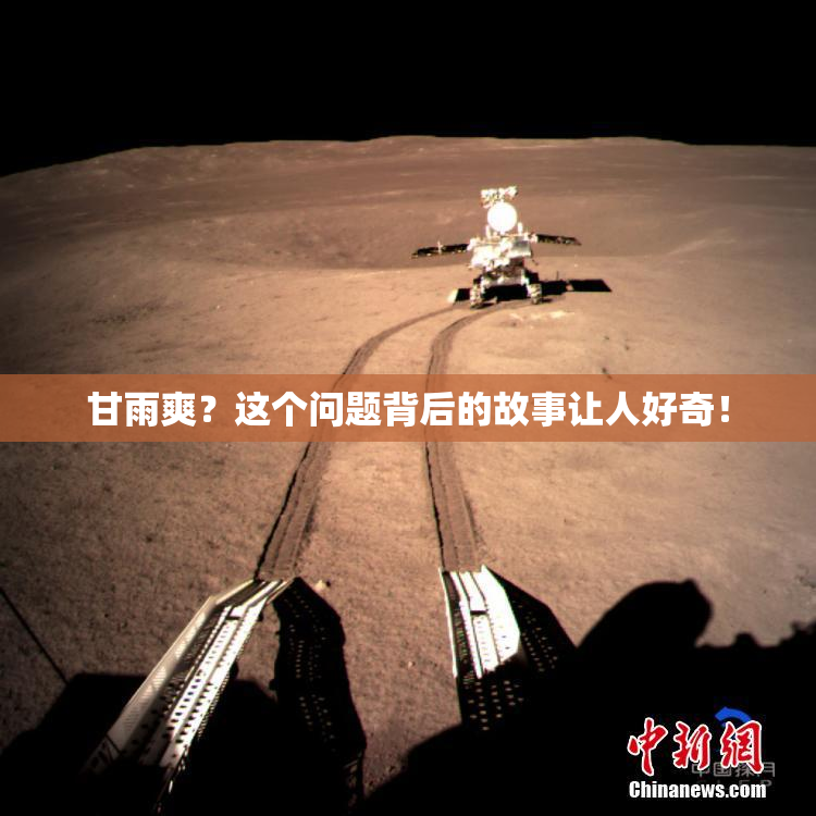甘雨爽？这个问题背后的故事让人好奇！