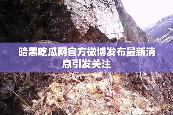 暗黑吃瓜网官方微博发布最新消息引发关注