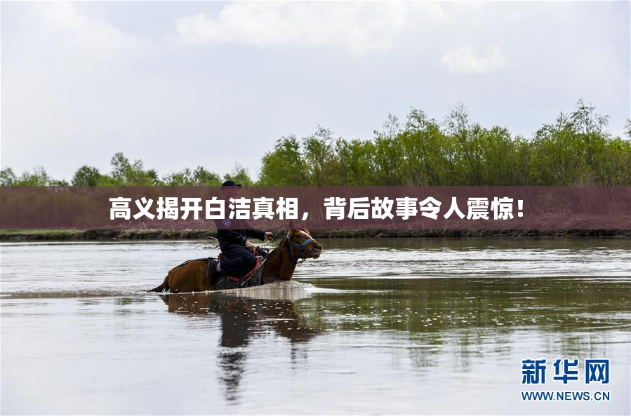 高义揭开白洁真相，背后故事令人震惊！