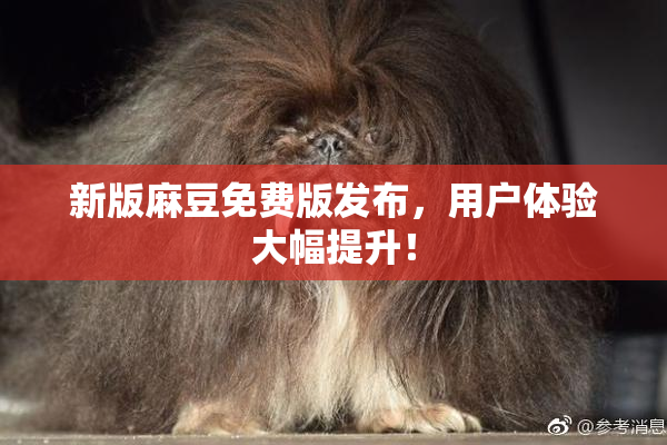 新版麻豆免费版发布，用户体验大幅提升！