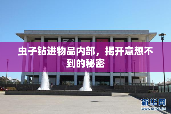 虫子钻进物品内部，揭开意想不到的秘密