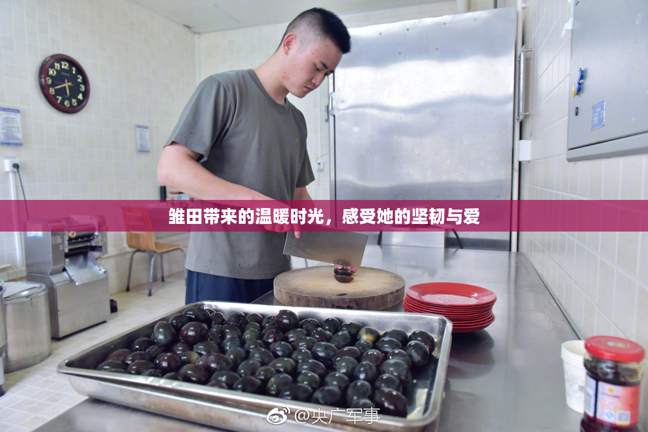 雏田带来的温暖时光，感受她的坚韧与爱