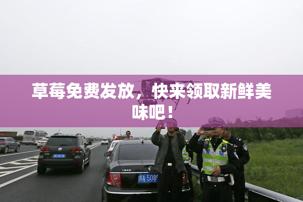 草莓免费发放，快来领取新鲜美味吧！