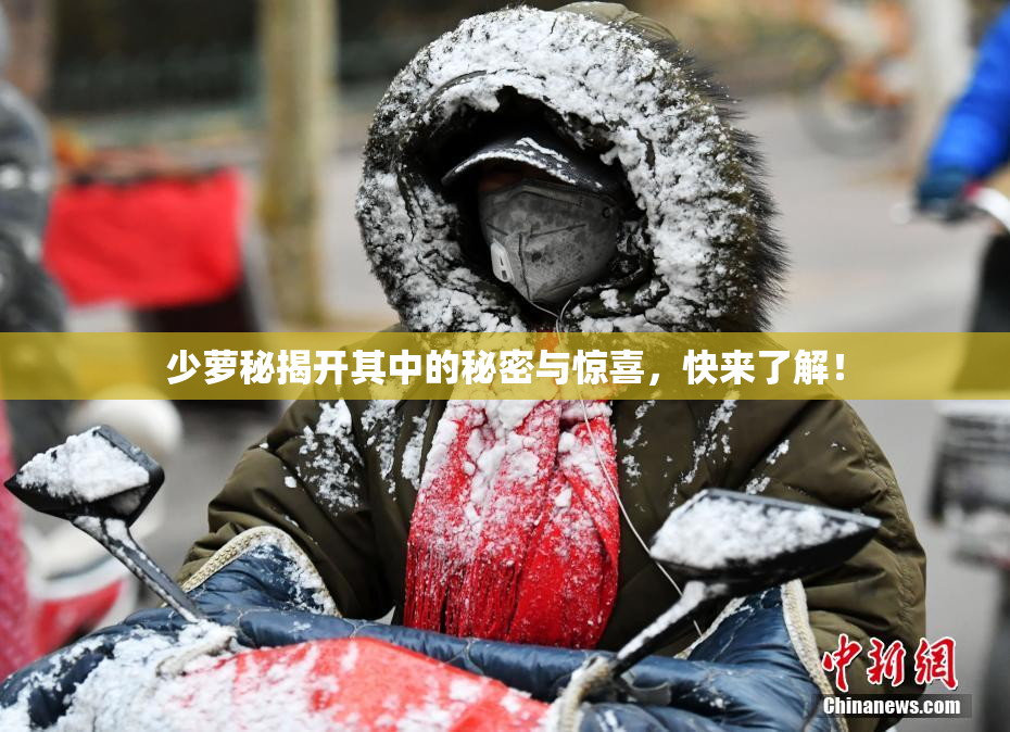 少萝秘揭开其中的秘密与惊喜，快来了解！