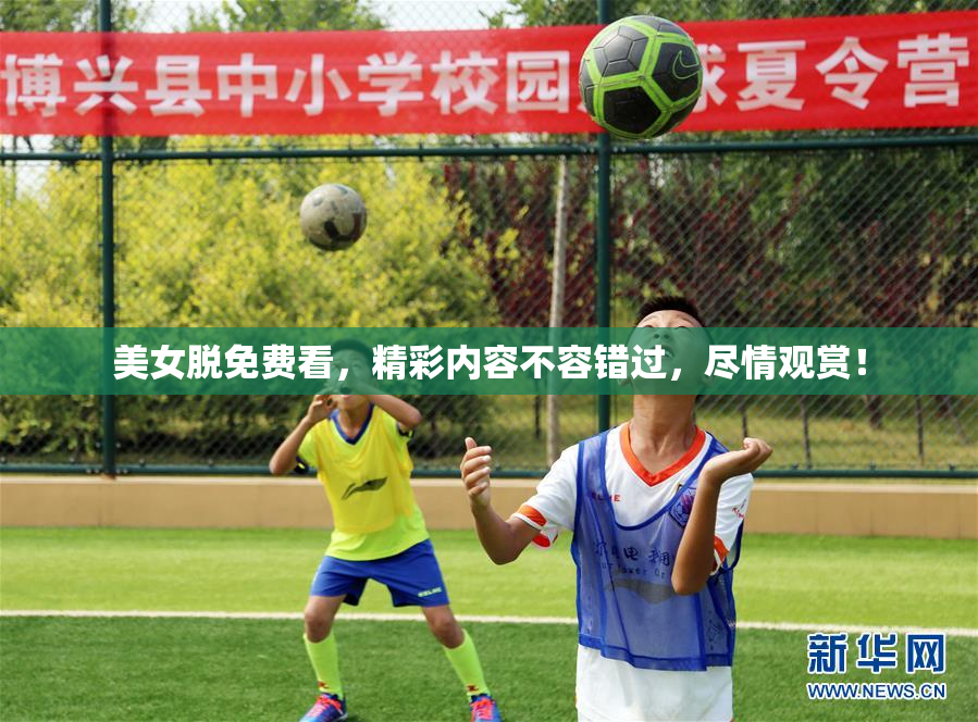 美女脱免费看，精彩内容不容错过，尽情观赏！