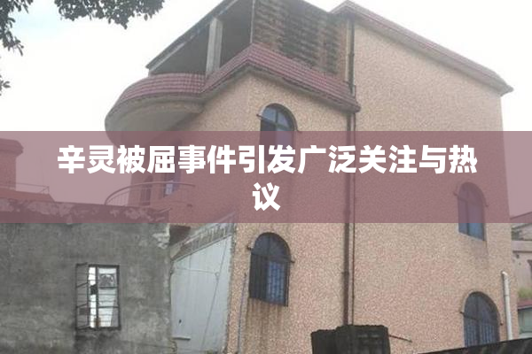辛灵被屈事件引发广泛关注与热议