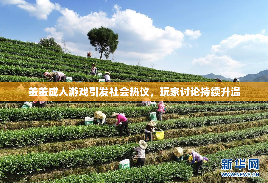 羞羞成人游戏引发社会热议，玩家讨论持续升温