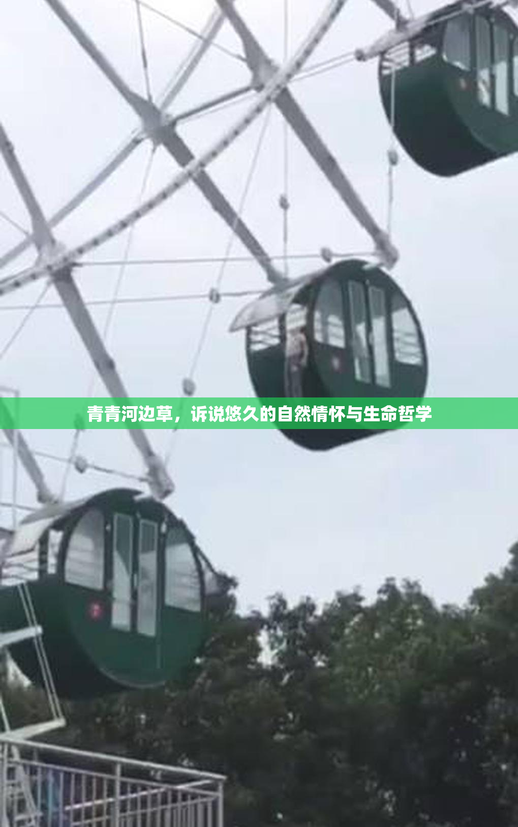 青青河边草，诉说悠久的自然情怀与生命哲学