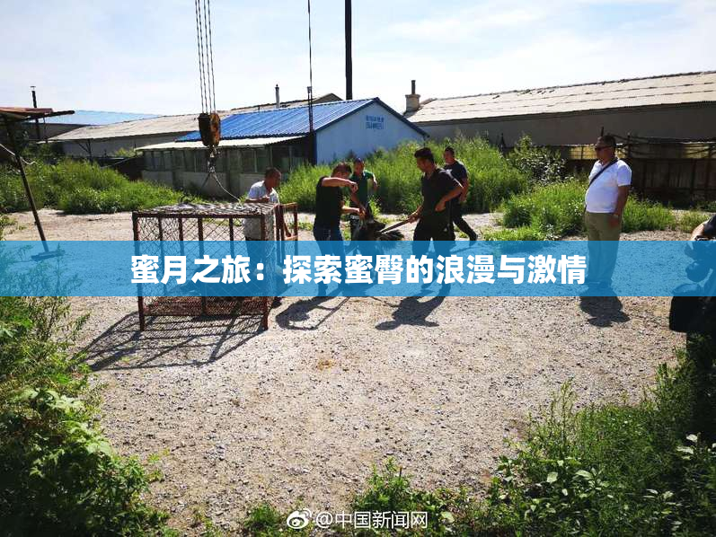 蜜月之旅：探索蜜臀的浪漫与激情