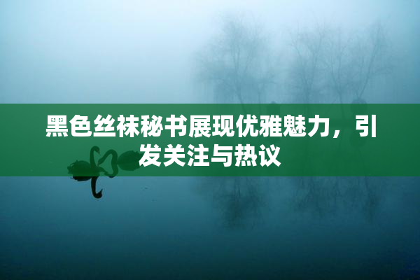 黑色丝袜秘书展现优雅魅力，引发关注与热议
