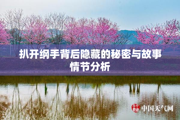 扒开纲手背后隐藏的秘密与故事情节分析