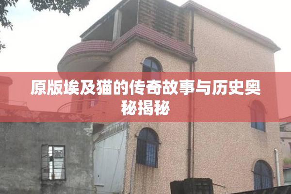 原版埃及猫的传奇故事与历史奥秘揭秘