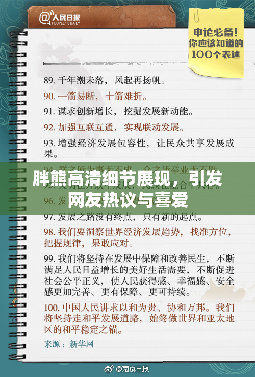 胖熊高清细节展现，引发网友热议与喜爱