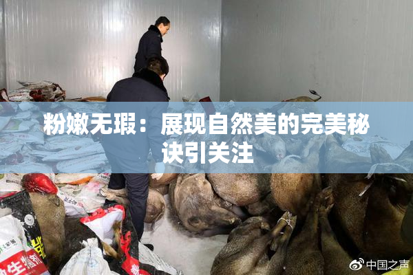 粉嫩无瑕：展现自然美的完美秘诀引关注