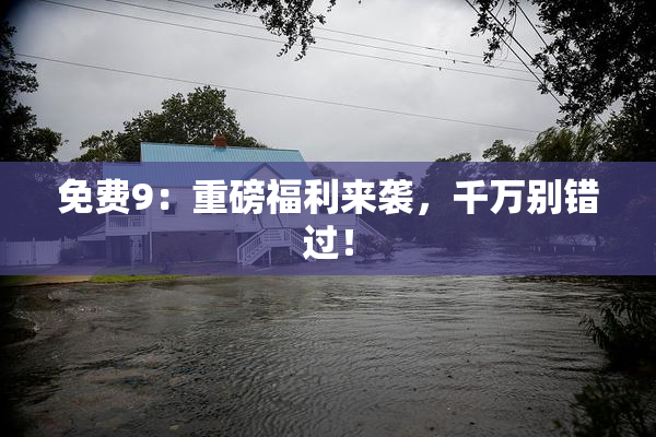 免费9：重磅福利来袭，千万别错过！