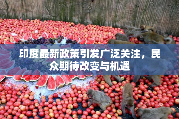 印度最新政策引发广泛关注，民众期待改变与机遇
