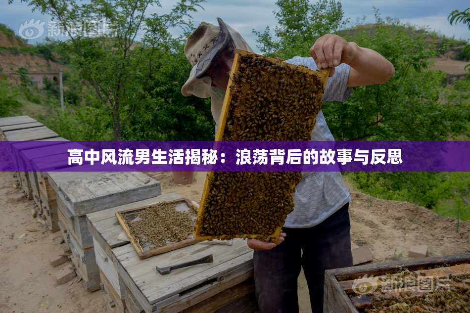 高中风流男生活揭秘：浪荡背后的故事与反思