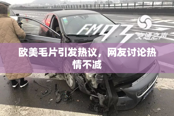 欧美毛片引发热议，网友讨论热情不减