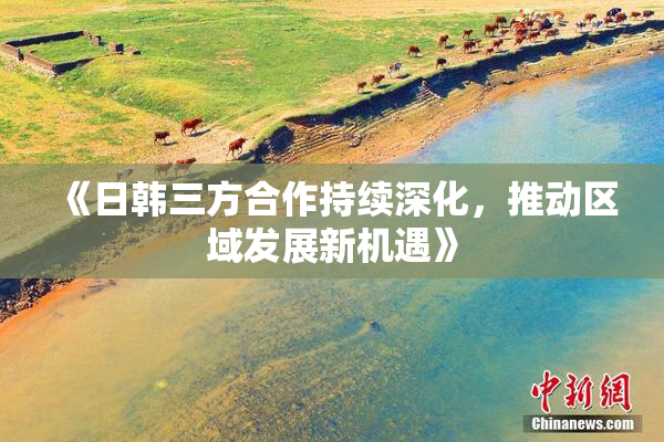 《日韩三方合作持续深化，推动区域发展新机遇》