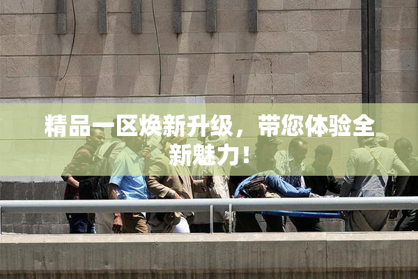 精品一区焕新升级，带您体验全新魅力！