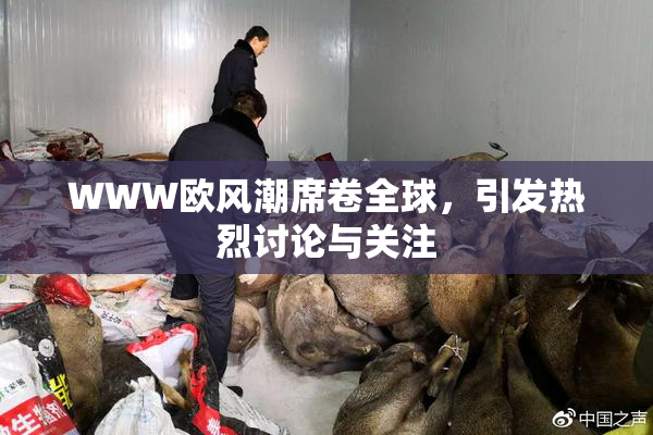 WWW欧风潮席卷全球，引发热烈讨论与关注