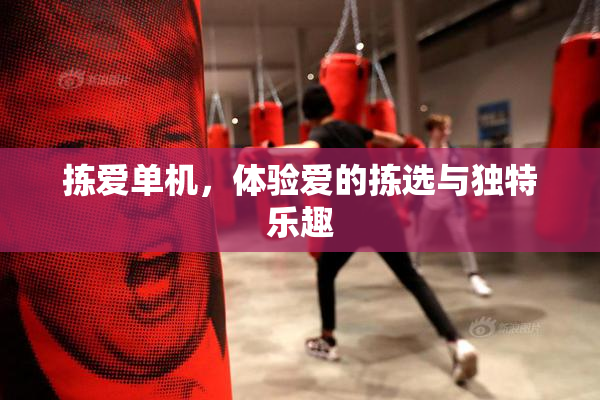 拣爱单机，体验爱的拣选与独特乐趣