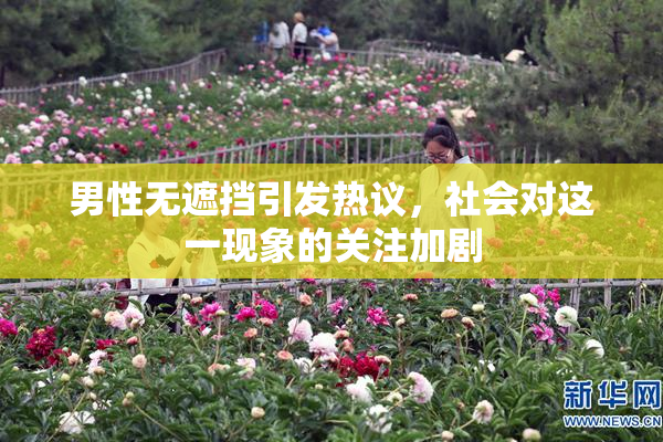 男性无遮挡引发热议，社会对这一现象的关注加剧