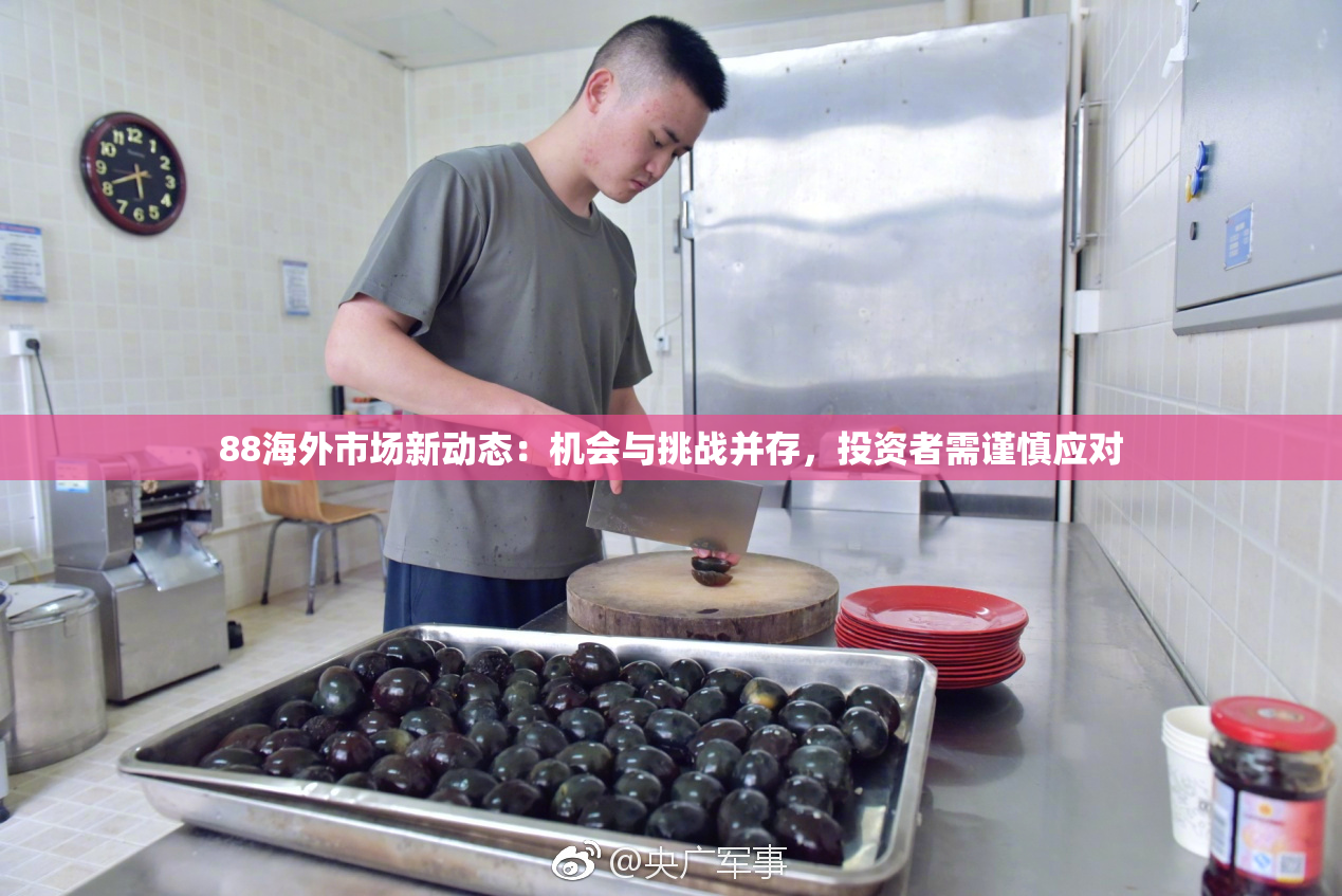 88海外市场新动态：机会与挑战并存，投资者需谨慎应对