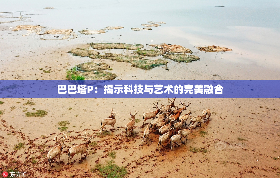 巴巴塔P：揭示科技与艺术的完美融合