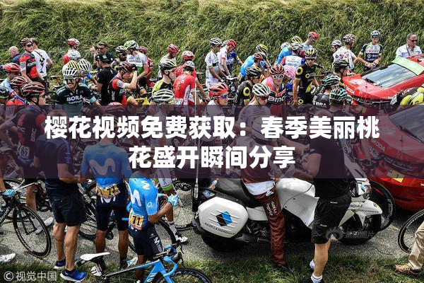 樱花视频免费获取：春季美丽桃花盛开瞬间分享