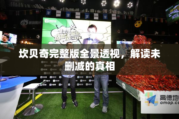 坎贝奇完整版全景透视，解读未删减的真相