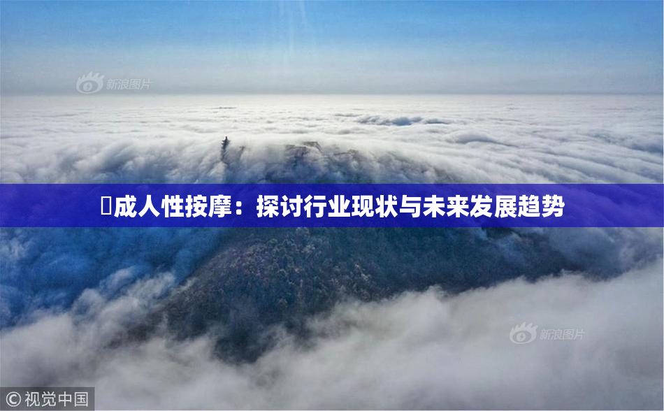 巜成人性按摩：探讨行业现状与未来发展趋势