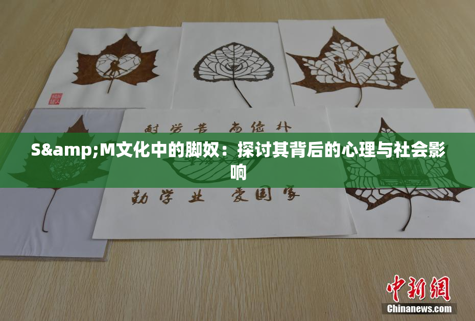 S&M文化中的脚奴：探讨其背后的心理与社会影响