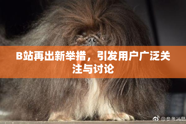 B站再出新举措，引发用户广泛关注与讨论
