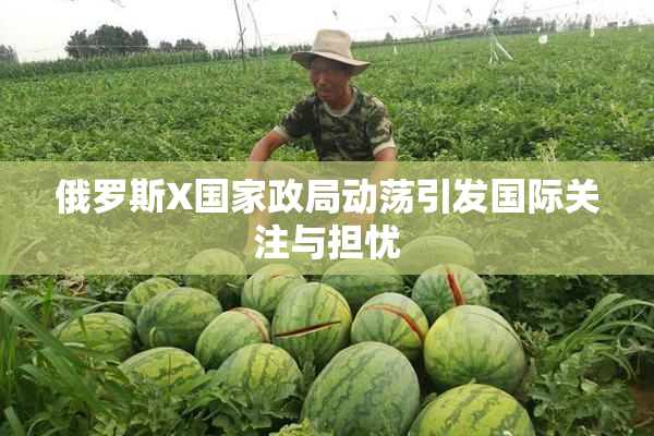俄罗斯X国家政局动荡引发国际关注与担忧