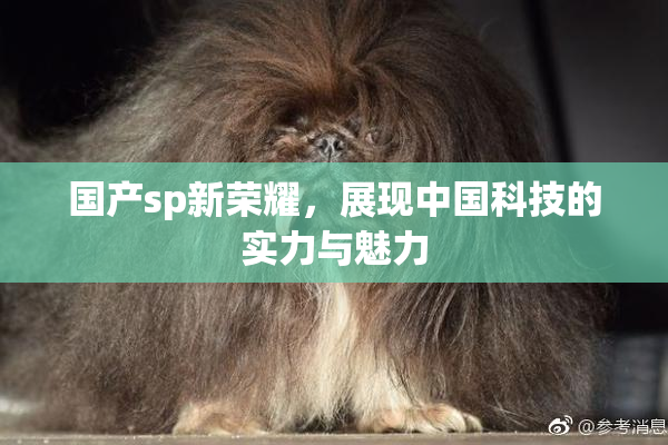 国产sp新荣耀，展现中国科技的实力与魅力