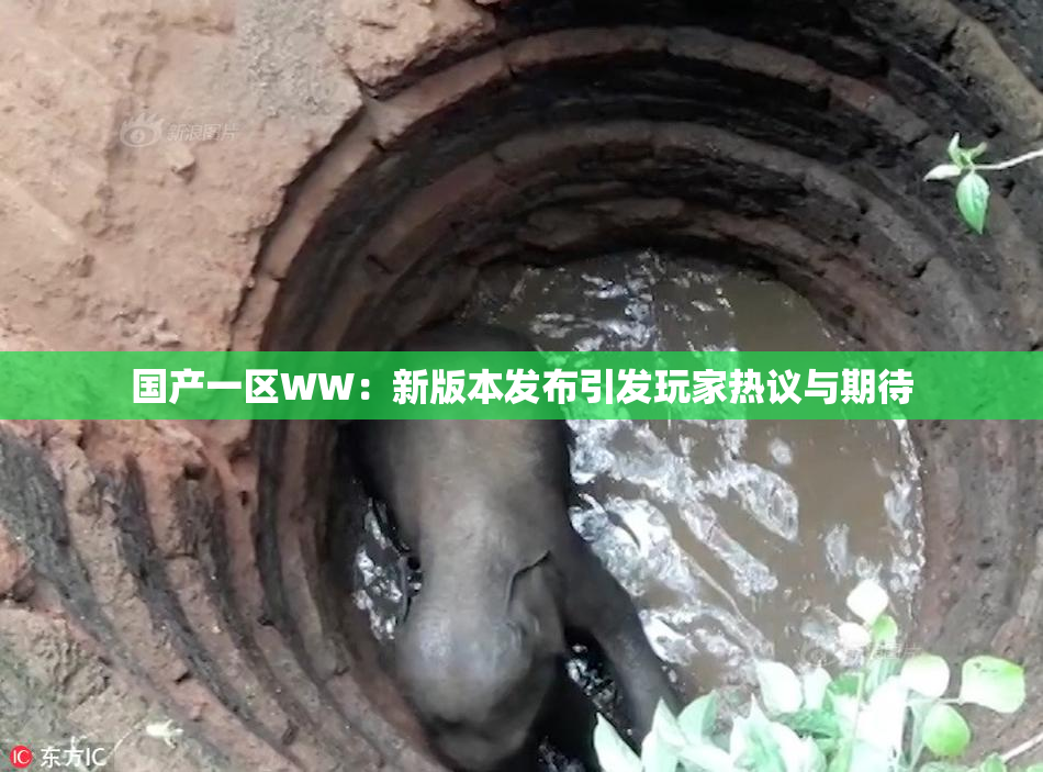 国产一区WW：新版本发布引发玩家热议与期待