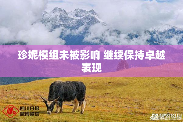 珍妮模组未被影响 继续保持卓越表现