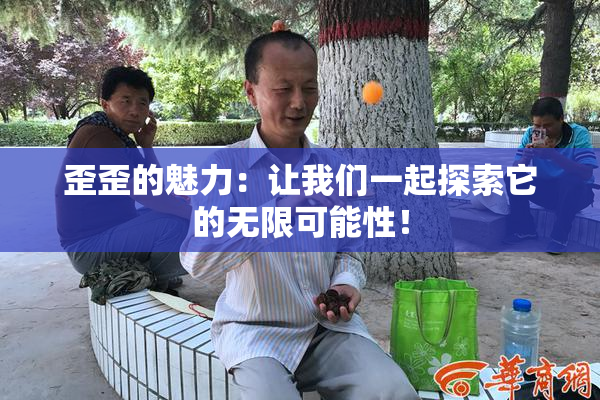 歪歪的魅力：让我们一起探索它的无限可能性！