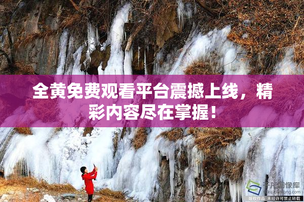 全黄免费观看平台震撼上线，精彩内容尽在掌握！