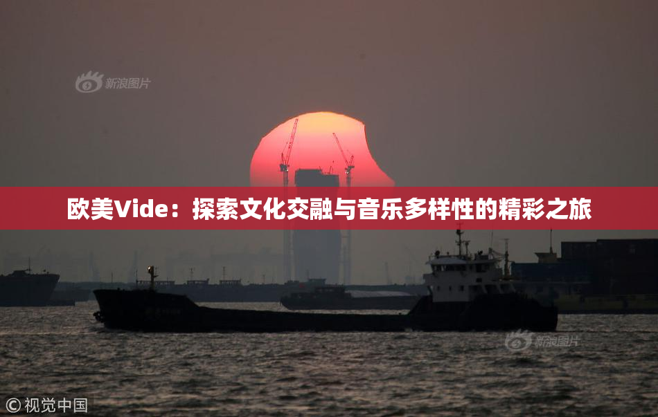 欧美Vide：探索文化交融与音乐多样性的精彩之旅