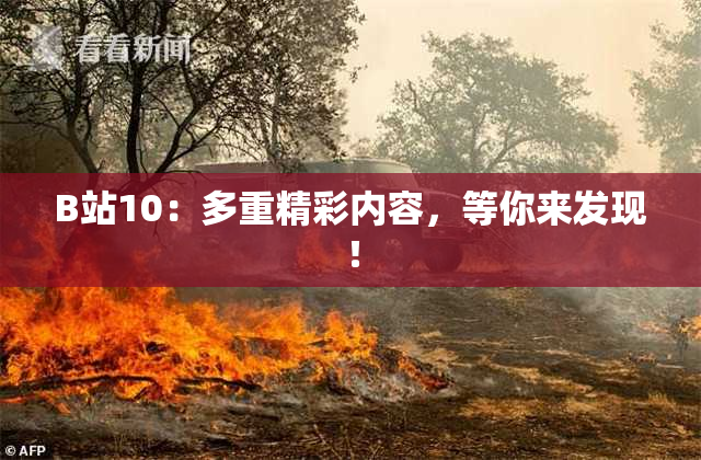 B站10：多重精彩内容，等你来发现！