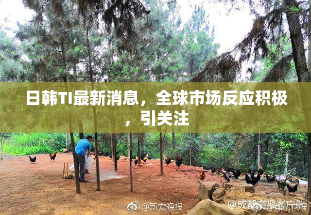 日韩TI最新消息，全球市场反应积极，引关注