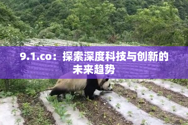 9.1.co：探索深度科技与创新的未来趋势