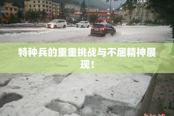 特种兵的重重挑战与不屈精神展现！